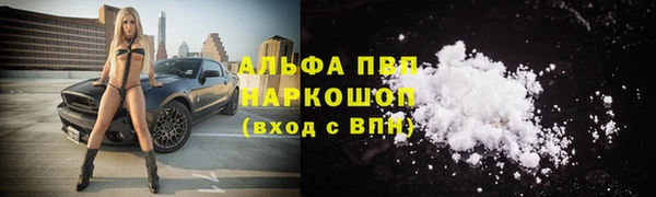 соль ск Беломорск
